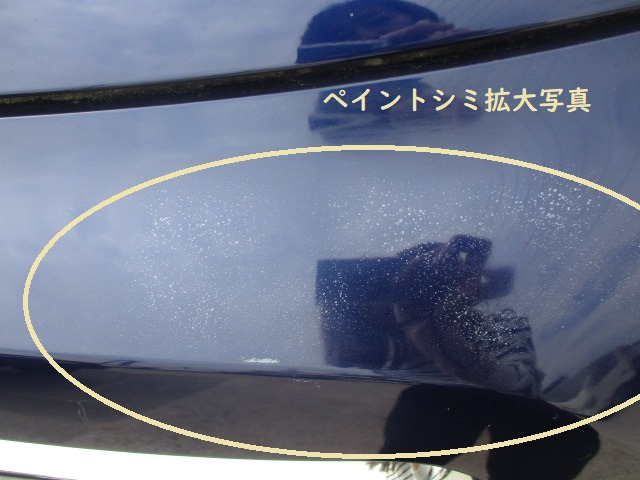 サブ写真