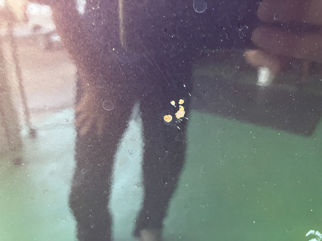 サブ写真