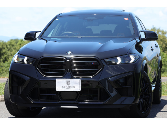 BMW X6 M 